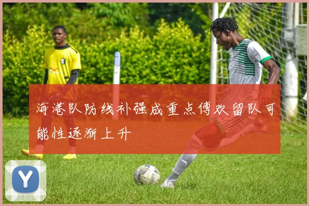 海港队防线补强成重点傅欢留队可能性逐渐上升