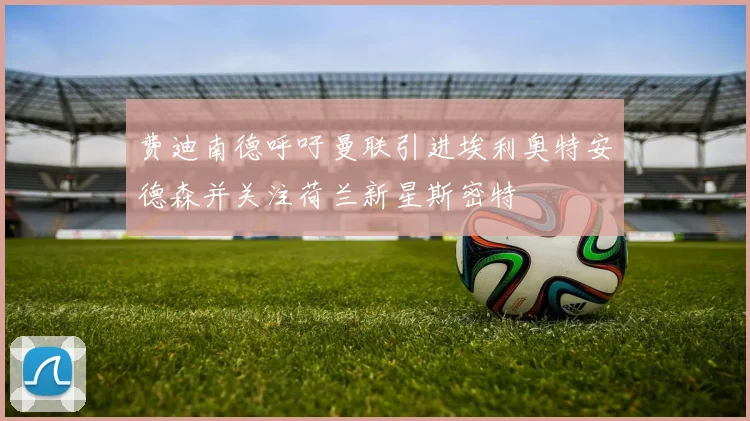 费迪南德呼吁曼联引进埃利奥特安德森并关注荷兰新星斯密特
